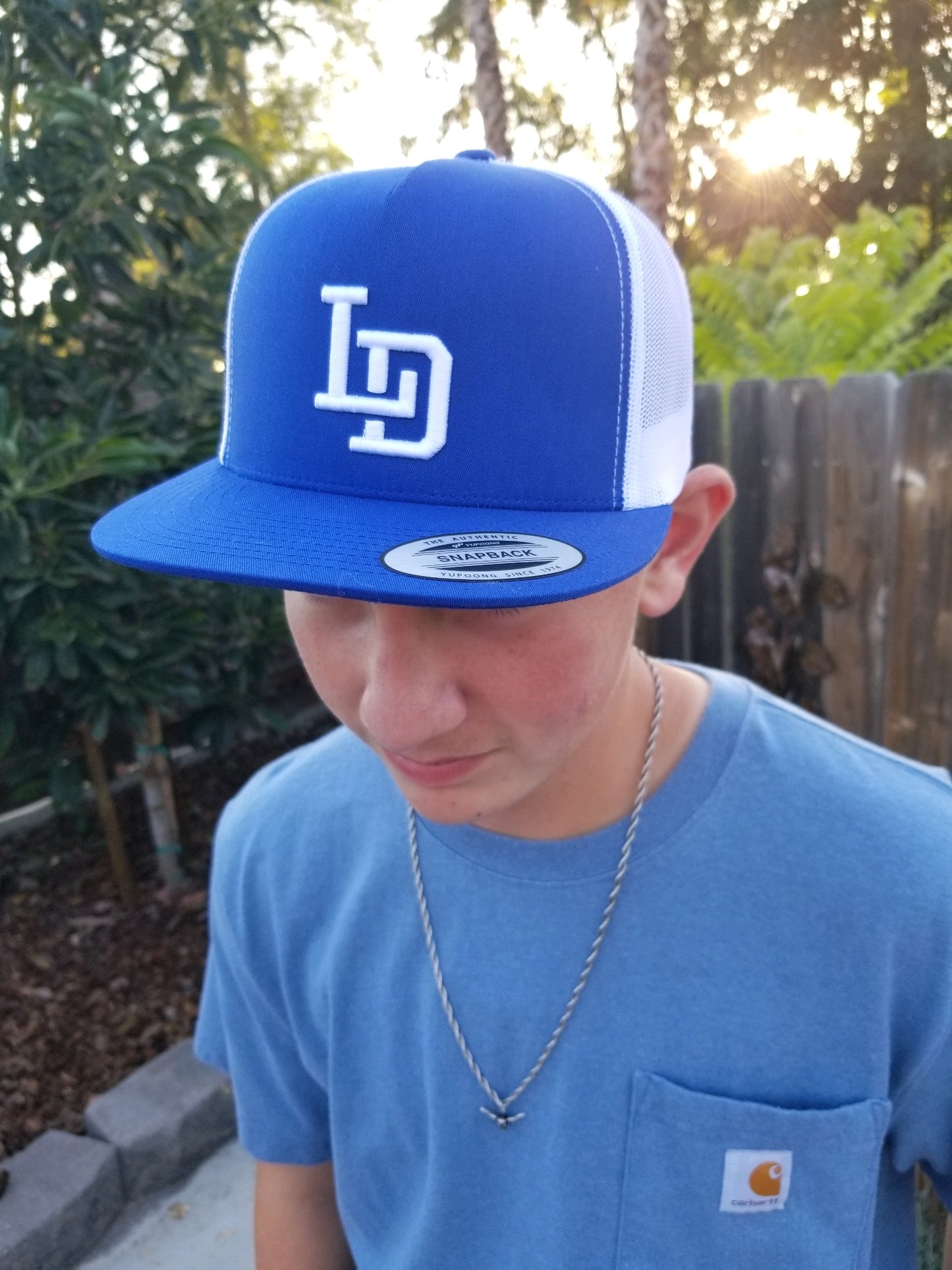 NEW LD Snapback